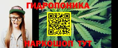 a pvp Мариинск