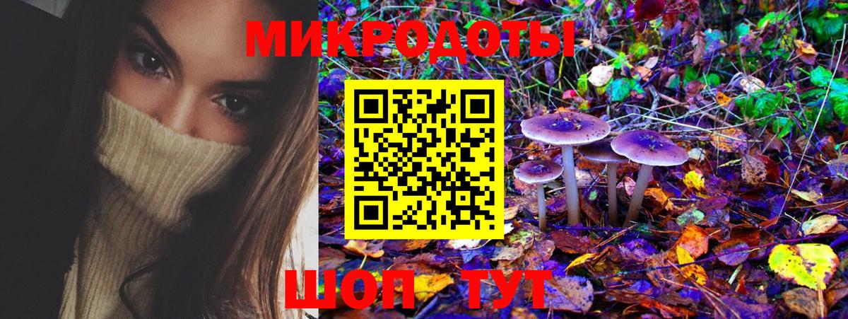 Туапсе  Псилоцибиновые грибы Psilocybine cubensis  Галлюциногенные грибы Psilocybine cubensis  Вход с VPN 