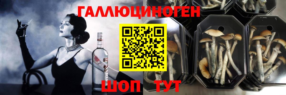 Галлюциногенные грибы мухоморы Туапсе